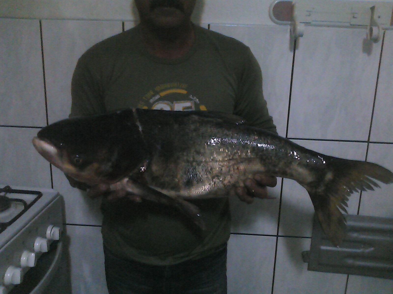 Crevedia - 131106-1936.jpg